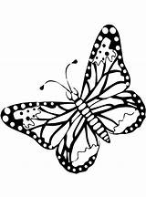 Fun Kids Vlinder Vlinders Coloring Butterflies sketch template