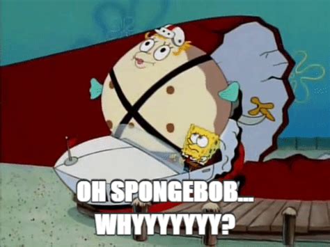 image  spongebob whyyyyyyygif encyclopedia spongebobia fandom powered  wikia
