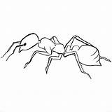 Ant Fire Coloring Drawing Pages Coloringbay Getdrawings sketch template