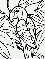 Coloring Pages Kidscp sketch template