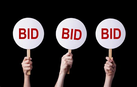 mastering  bidding process  easier