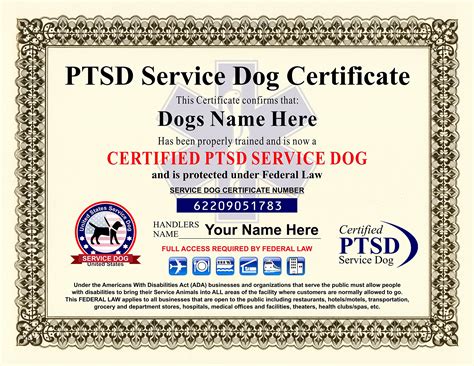 official service dog certificate ubicaciondepersonascdmxgobmx