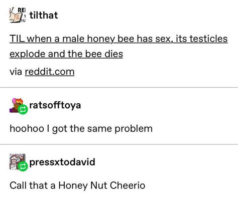 It Do Bee Like That Tumblr