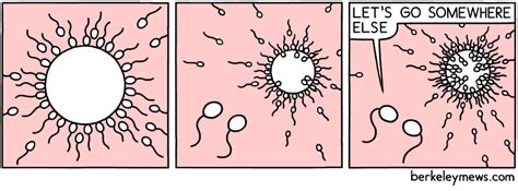 Sperm Pictures And Jokes Funny Pictures And Best Jokes Comics Images