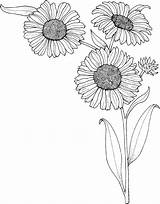Sunflowers Gogh sketch template