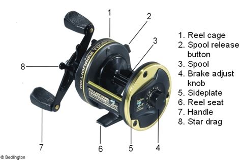 baitcaster parts diagram wiring diagram pictures