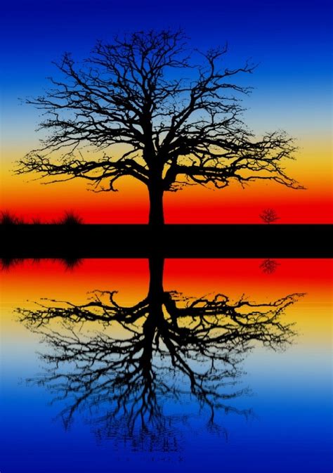 30 Beautiful Photos of Water Reflection