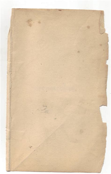 plain paper stock image image  parchment foxing brown