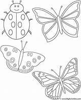 Coloring Ladybug Pages Lady Butterflies Insects Bugs Color Printable Bug Three Clipart Kids Activity Great Who Library Comments Print Bigactivities sketch template