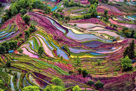 chinas rice terraces   beautiful   world