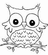Owl Nocturnal sketch template