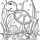 Turtle Coloring Pages Kids Animal Ocean Sea Color Visit Printable Baby Print Letscolorit sketch template