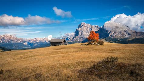 wallpaper perfect autumn landscape  south