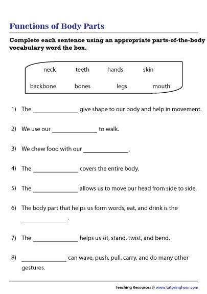 functions  body parts worksheet