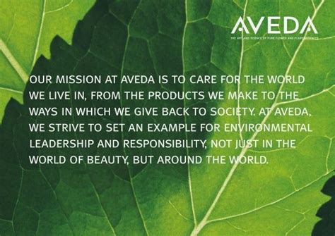 aveda concept salon    aveda products  hair color