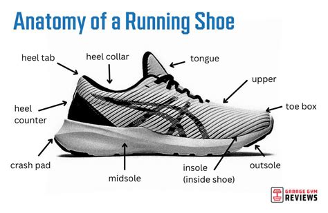 anatomy   running shoe garage gym reviews