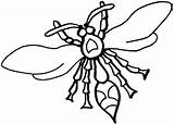 Wasp Coloring Pages Wasps Color Clipart 345px 77kb Drawings Choose Board Fly sketch template