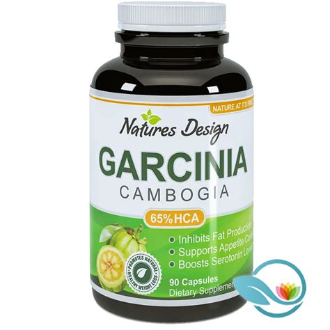 best garcinia cambogia supplements of 2019