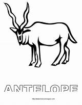 Antelope Preschool Popular sketch template