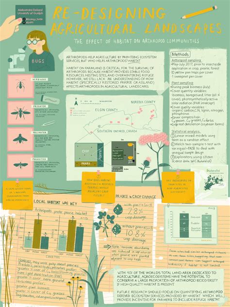 infographic ideas  advice  creating  academic poster accomplish  spadaro