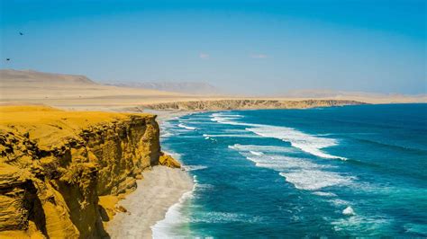 paracas  top  tours activities       paracas peru getyourguide