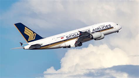 singapore airlines passenger claims    human tooth