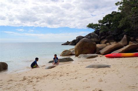 Daytripping At Fitzroy Island Australia The World Is A Book