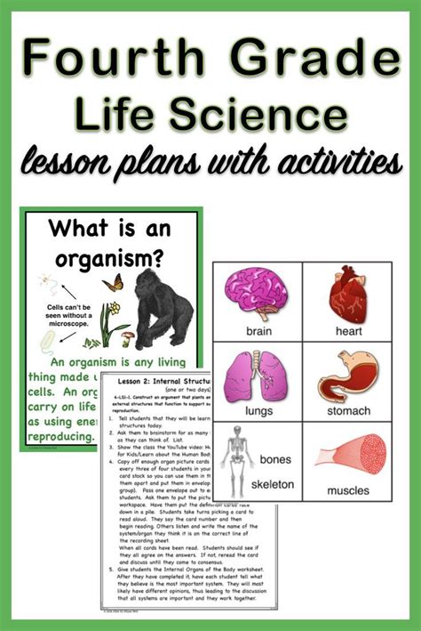 science lesson plans   graders