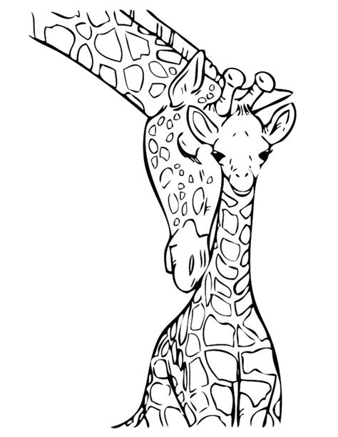 giraffe coloring pages    clipartmag