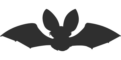 printable bat stencils  silhouettes