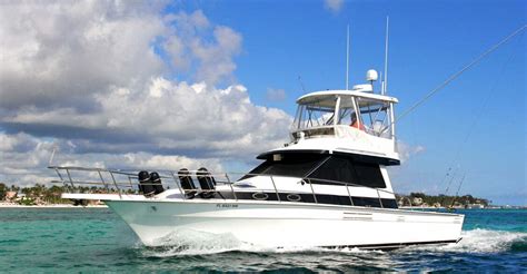 private yacht snorkeling cruise reef snorkeling transfer included snorkeling gear included