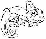 Coloring Chameleon Pages Lizard Print Colouring Frilled Template Color Embroidery Getcolorings Printable Getdrawings Drawing Kids sketch template