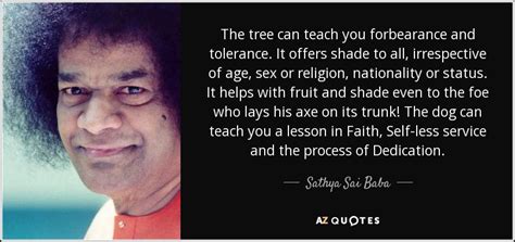 sathya sai baba quote the tree can teach you forbearance and tolerance