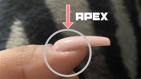 build  apex  beginners  acrylic nails youtube