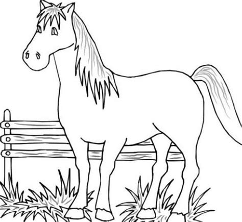 printable farm animal coloring pages  kids gzkd