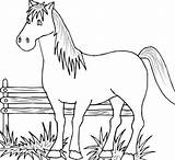 Farm Coloring Animal Pages Kids Printable sketch template