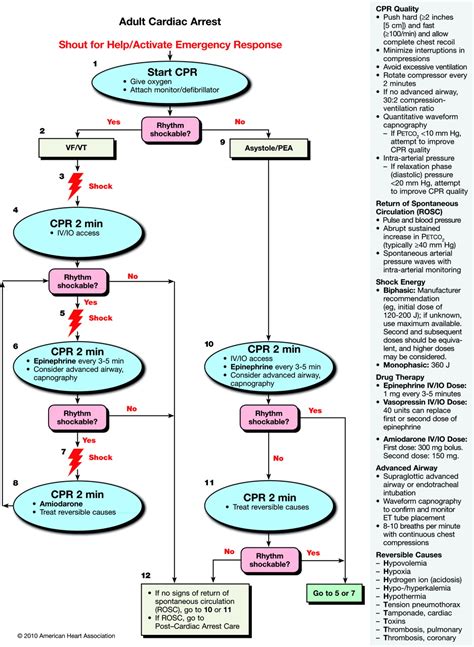 Part 8 Adult Advanced Cardiovascular Life Support Circulation