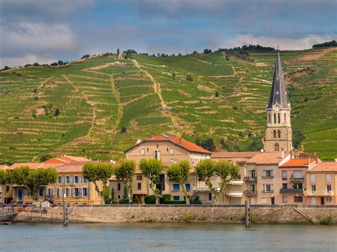 twenty cotes du rhone villages subzones wine wit  wisdom