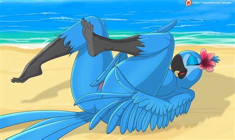 Rule 34 2018 Anthro Anthrofied Ass Avian Beak Bird Blue Feathers Blue