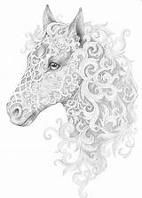 Cavallo Criniera Mythical Testa Tatuaggio Eckersleys Supplies Zentangle Grayscale Stress Malen sketch template