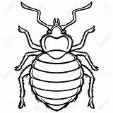 Bedbug Wanzen Grafik Lupe sketch template