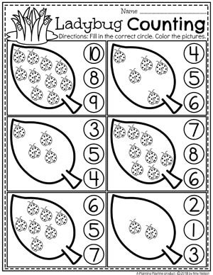 insect sortpdf google drive insects preschool   images