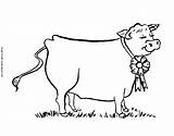 Coloring Pages Dairy Cow Group Popular Coloringhome sketch template