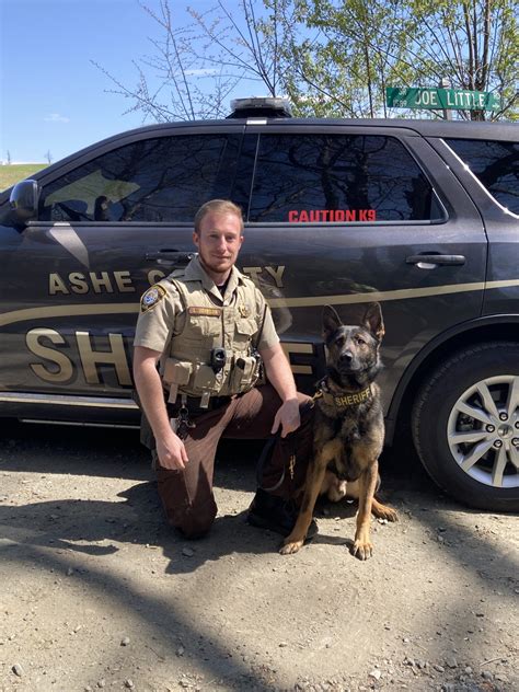 K9 Condor To Get Donated Body Armor – Ashe County Sheriffs Office