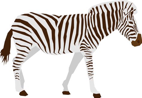 zebra animal flat vector design isolated  png