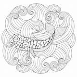 Whale Zentangle Stock Adult Vector Waves Sperm Illustration Freehand Sketch Sea Style A4 Coloring Print sketch template