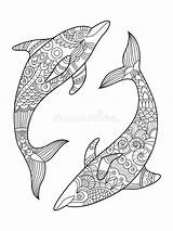 Dolphin Coloring Adults Mandala Book Zentangle Vector Tattoo Adult Clipart sketch template