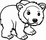 Coloring Bear Grizzly Brown Cute Kodiak Illustration Pages Wecoloringpage Alaska National sketch template
