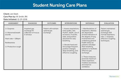 nursing care plans  ultimate guide  list