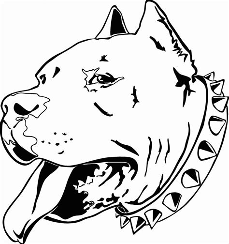 pitbull coloring pages  coloring pages  kids pitbull drawing